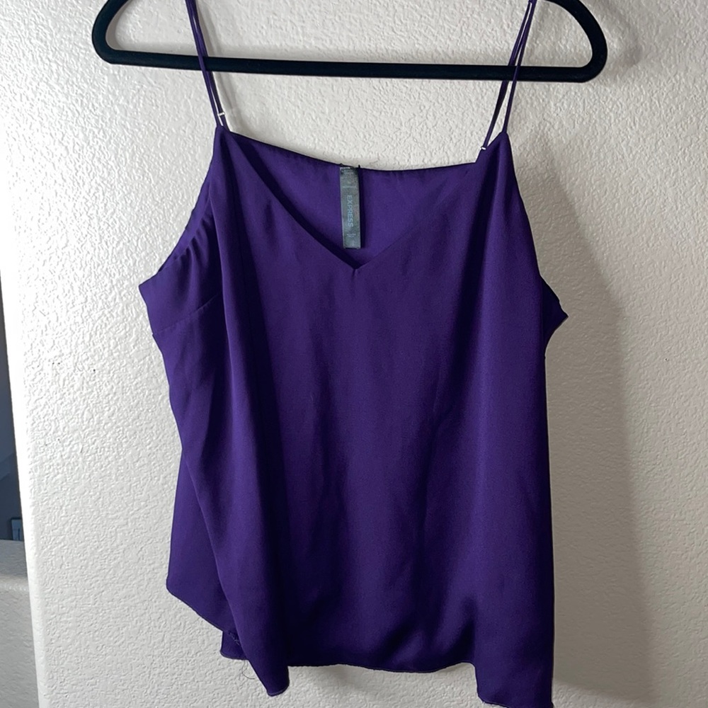 EUC Express Downtown Satin V-Neck Cami